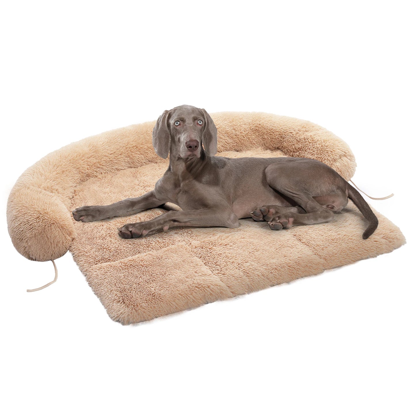 The Snuggle Stuff ๐พโจ