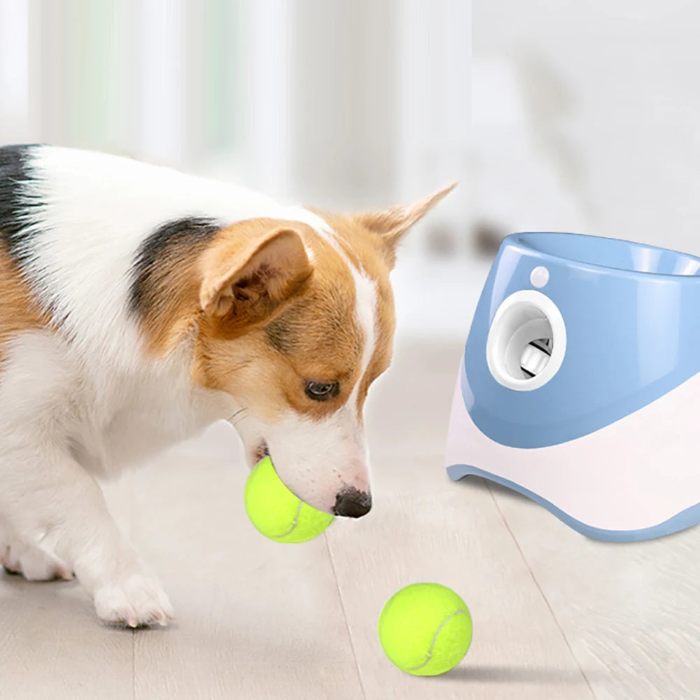 The Stuff Launcher - Automatic Ball Launcher 🤾♂️🐶