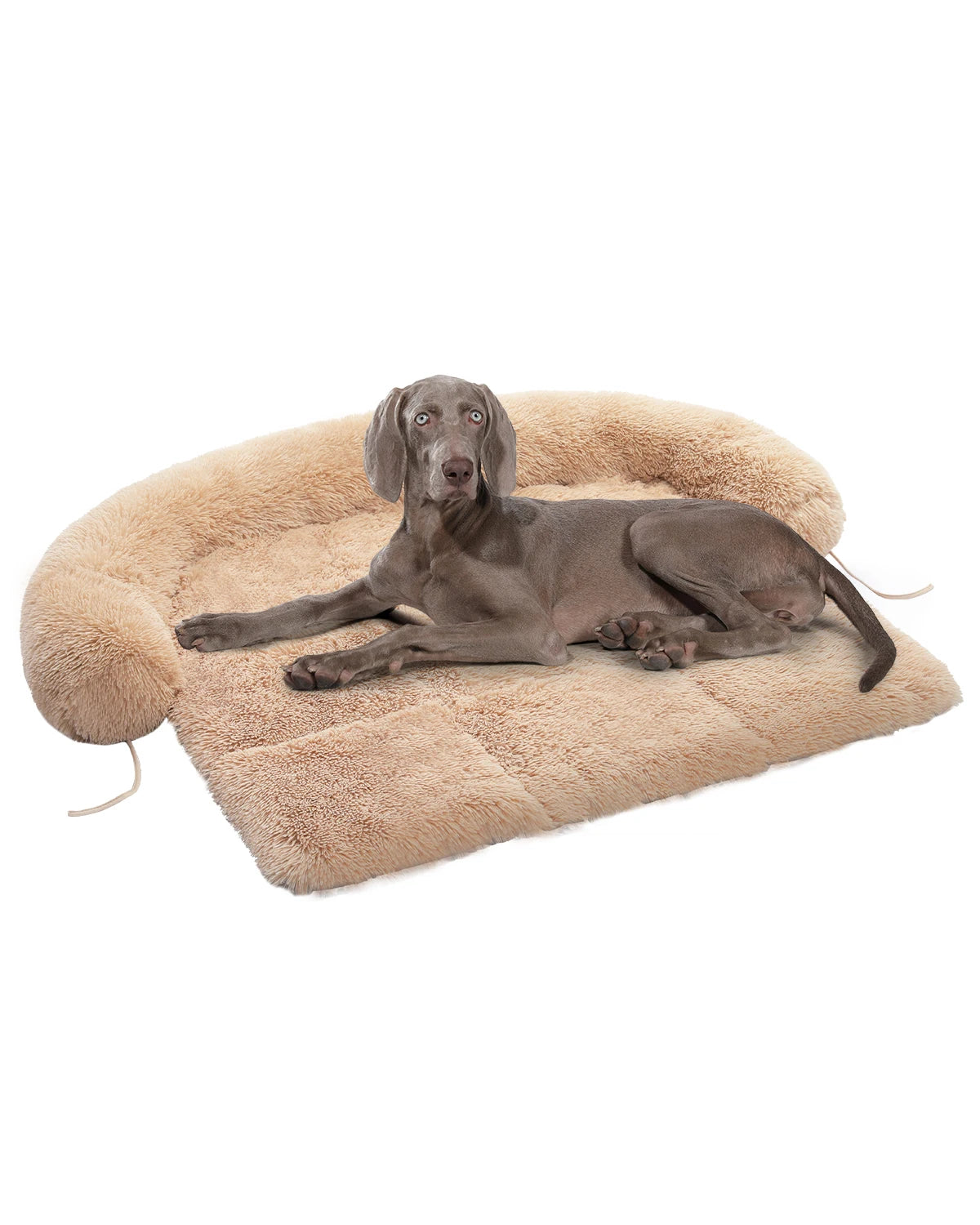The Snuggle Stuff ๐พโจ