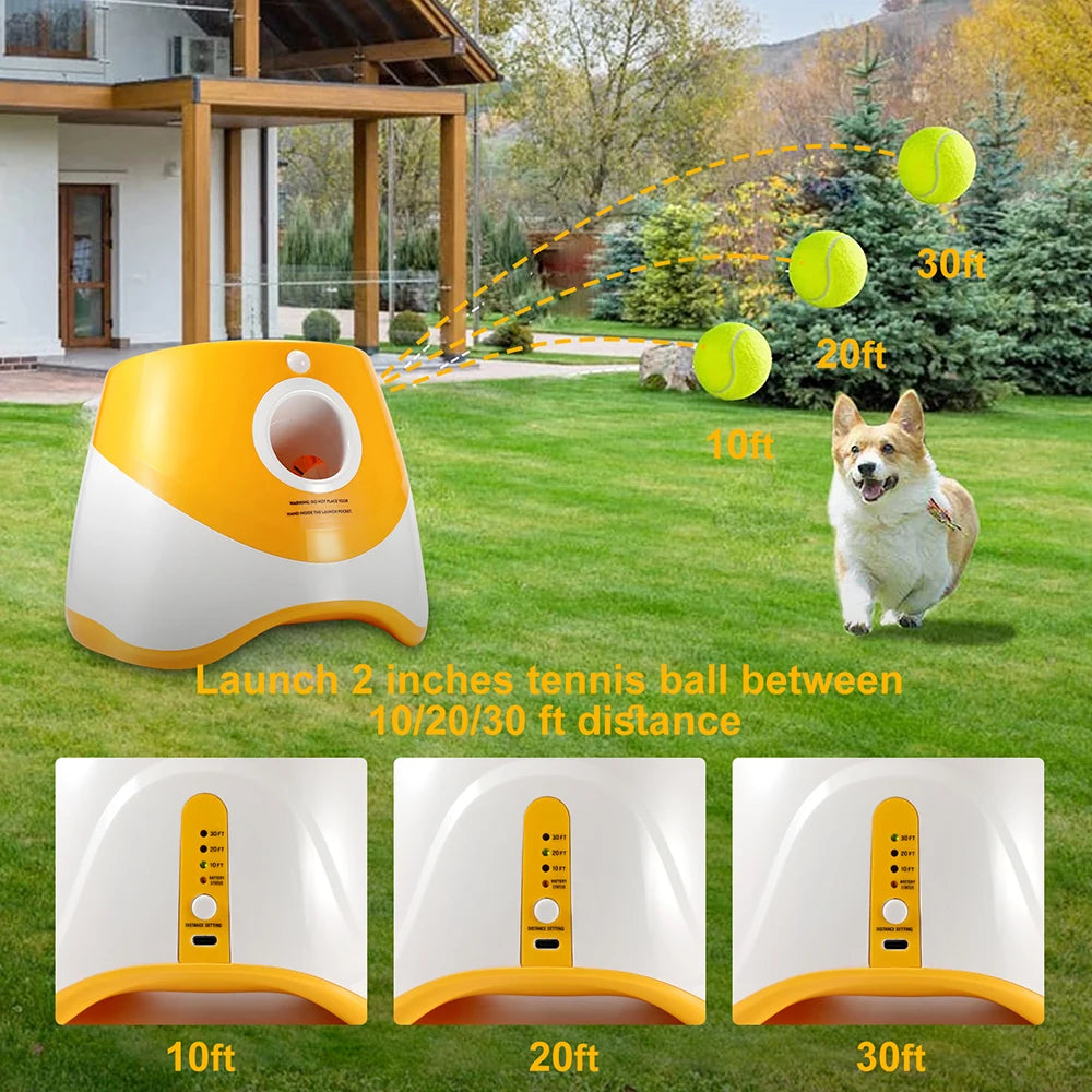 The Stuff Launcher - Automatic Ball Launcher 🤾♂️🐶